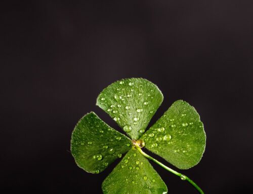 The St. Paddy Day Special: The Stories Behind 4 “Lucky” Medical Discoveries